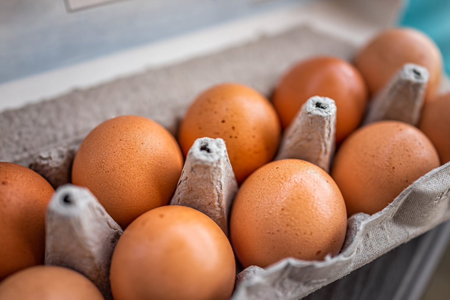 Farm Fresh Eggs
