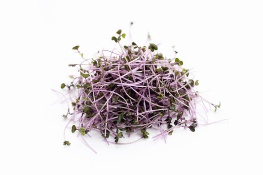 Red Cabbage