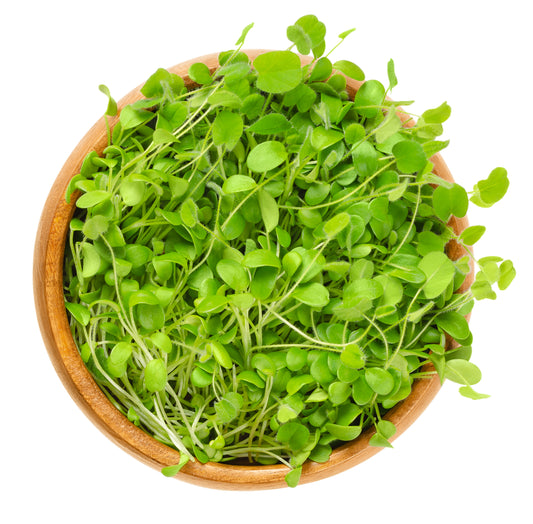 Clover