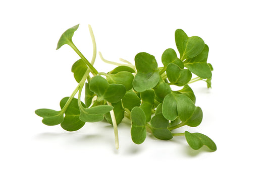 Radish